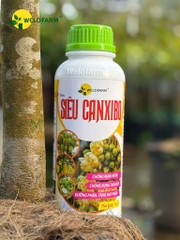 Siêu CanxiBo