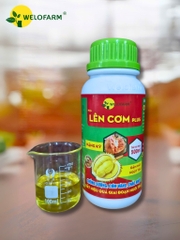Lên Cơm Plus