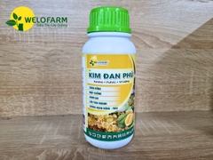 Kim Đan Phú