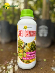 Siêu CanxiBo