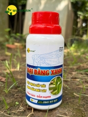 ĐẠI BÀNG XANH