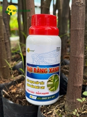 ĐẠI BÀNG XANH