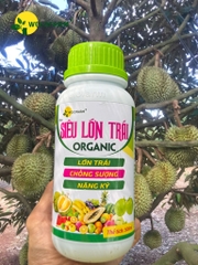 Siêu Lớn Trái USA