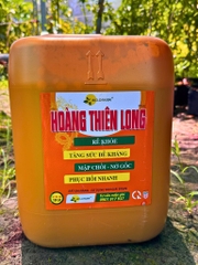 Plus Hoàng Thiên Long