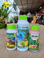BỘ 3 VỌT ĐỌT