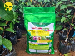 Hắc Kim Nano