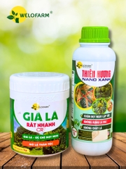 Bộ Già Lá Nhanh CR7