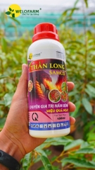 Thần Long Samco