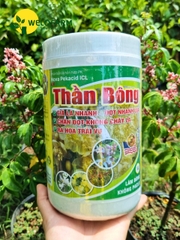 Thần Bông