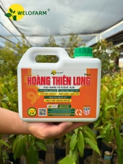 Plus Hoàng Thiên Long
