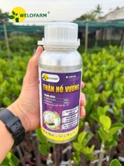 Thần Hổ Vương