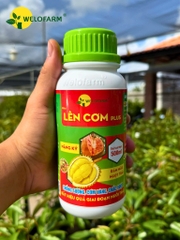 Lên Cơm Plus