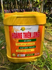 Plus Hoàng Thiên Long