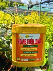 Plus Hoàng Thiên Long