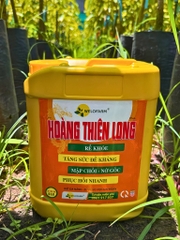 Plus Hoàng Thiên Long