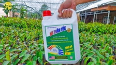 pH Thần Tốc Can 5L