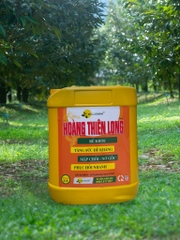 Plus Hoàng Thiên Long