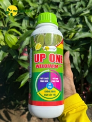 Up One Nano Welofarm