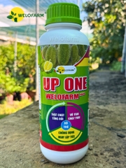 Up One Nano Welofarm