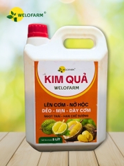 KIM QUẢ
