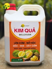 KIM QUẢ