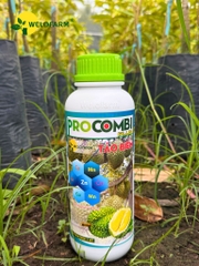 Pro Combi Plus