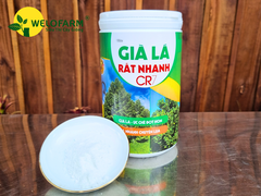 Già Lá Rất Nhanh
