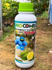 Pro Combi Plus
