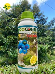 Pro Combi Plus