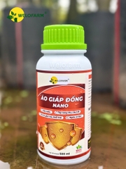 Áo Giáp Đồng Nano