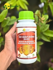 Áo Giáp Đồng Nano