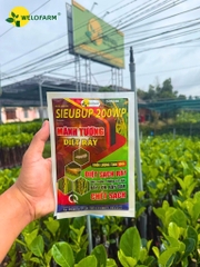Mãnh Tướng Diệt Rầy SIEUBUP 200WP