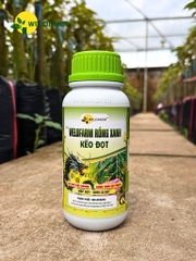 Welofarm Rồng Xanh