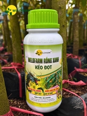 Welofarm Rồng Xanh