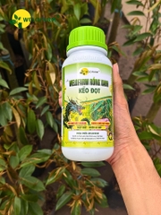 Welofarm Rồng Xanh