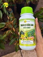 Welofarm Rồng Xanh