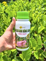 Welofarm Rồng Xanh Kéo Đọt