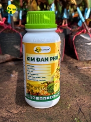 Kim Đan Phú