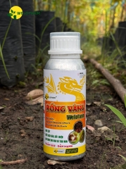 Rồng Vàng Welofarm