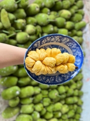 Mít tố nữ