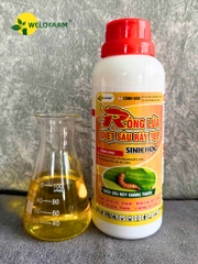 Rồng Lửa NaRa