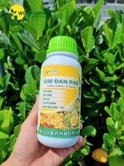 Kim Đan Phú