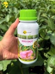 Welofarm Rồng Xanh Kéo Đọt