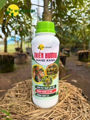 Thiên Hương Nano Xanh 1L