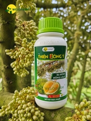 Thiên Bông Ý