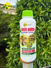 Thiên Hương Nano Xanh 1L