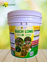 Bạch Long Nano Xanh
