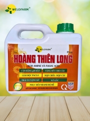 Plus Hoàng Thiên Long