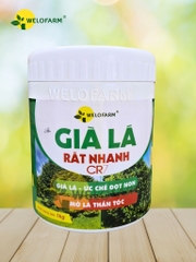 Già Lá Rất Nhanh