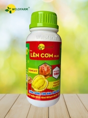 Lên Cơm Plus